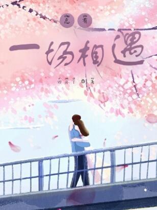 总有一场相遇是什么歌