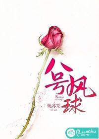 八号风球by卡比丘全文阅读番外