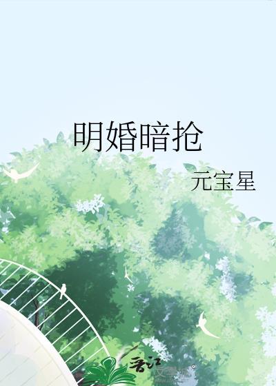明婚暗抢晋江文学城