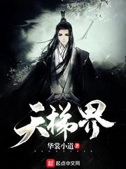 法界天梯共多少